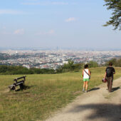  Sproing Pics (16/169)